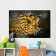 Janolus Nudibranch Anilao Philippines Wall Decal