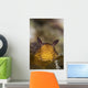 Jorunna Parva Nudibranch Portrait Wall Decal