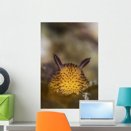 Jorunna Parva Nudibranch Portrait Wall Decal