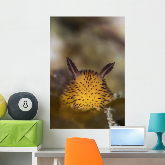 Jorunna Parva Nudibranch Portrait Wall Decal