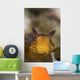 Jorunna Parva Nudibranch Portrait Wall Decal