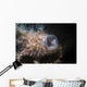 Striated Hairy Frogfish Yawning Wall Decal