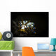 Cuthona Species Nudibranch Anilao Wall Decal