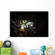 Cuthona Species Nudibranch Anilao Wall Decal