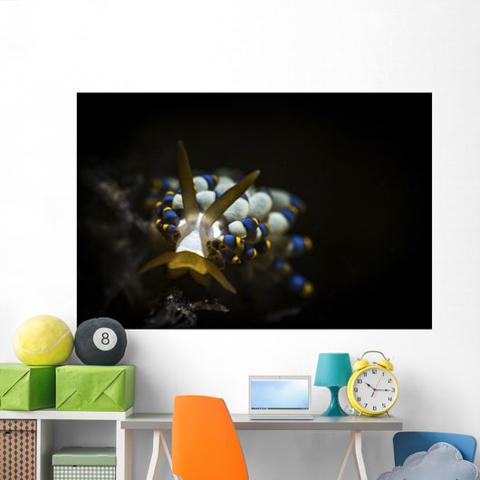 Cuthona Species Nudibranch Anilao Wall Decal
