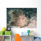 Hairy Frogfish Anilao Philippines Wall Decal