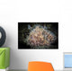 Hairy Frogfish Dangles Its Wall Decal