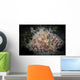 Hairy Frogfish Dangles Its Wall Decal