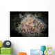 Hairy Frogfish Dangles Its Wall Decal