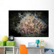 Hairy Frogfish Dangles Its Wall Decal