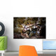 Porcelain Crab Catching Tiny Wall Decal