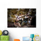 Porcelain Crab Catching Tiny Wall Decal