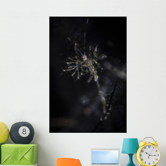 Skeleton Shrimp Vertical Wall Decal