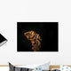 Whip Coral Shrimp Crawls Wall Decal