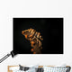 Whip Coral Shrimp Crawls Wall Decal