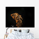 Whip Coral Shrimp Crawls Wall Decal