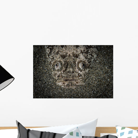 Stargazer Hides under Sand Wall Decal