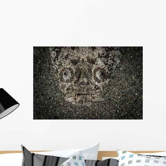 Stargazer Hides under Sand Wall Decal