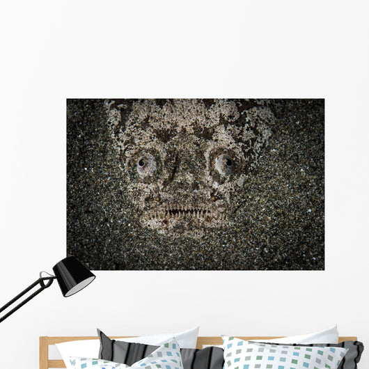 Stargazer Hides under Sand Wall Decal