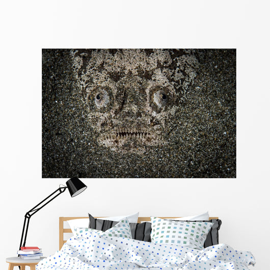 Stargazer Hides under Sand Wall Decal