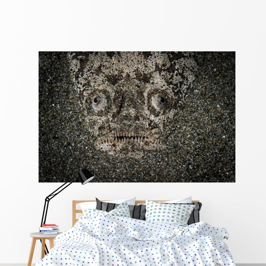 Stargazer Hides under Sand Wall Decal