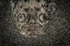 Stargazer Hides under Sand Wall Decal