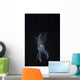 Reef Squid Hovers Vertical Wall Decal