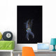 Reef Squid Hovers Vertical Wall Decal