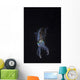 Reef Squid Hovers Vertical Wall Decal