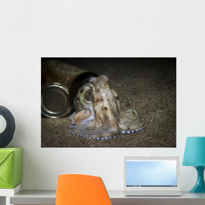 Coconut Octopus Posing Open Wall Decal shown on a wall