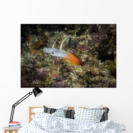 Fire Darts Hover above Wall Decal