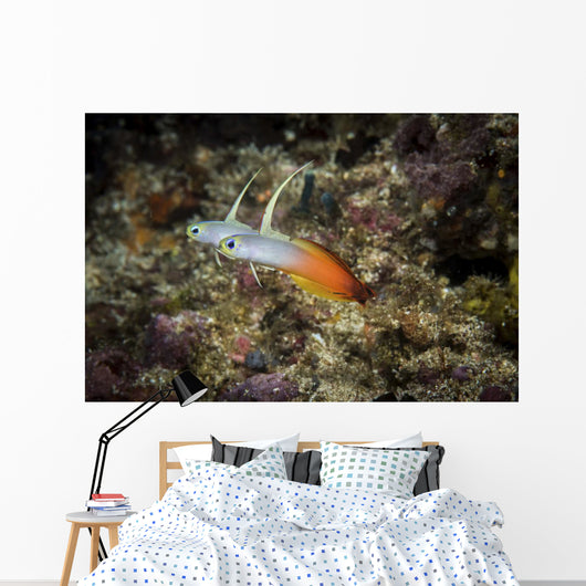 Fire Darts Hover above Wall Decal