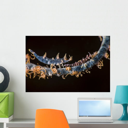 Two Shrimp Whip Coral Wall Decal