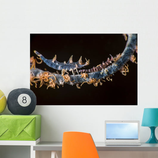Two Shrimp Whip Coral Wall Decal