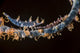 Two Shrimp Whip Coral Wall Decal