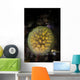 Colony Tunicates Cluster to Wall Decal