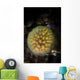 Colony Tunicates Cluster to Wall Decal