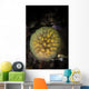 Colony Tunicates Cluster to Wall Decal