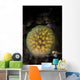 Colony Tunicates Cluster to Wall Decal