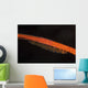 Whip Coral Goby Lays Wall Decal