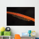 Whip Coral Goby Lays Wall Decal