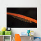 Whip Coral Goby Lays Wall Decal