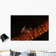 Tiny Porcelain Crab Lives Wall Decal