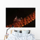 Tiny Porcelain Crab Lives Wall Decal