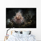 Hairy Frogfish Its Natural Wall Decal