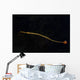 Banded Pipefish Hovers above Wall Decal