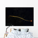 Banded Pipefish Hovers above Wall Decal