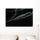 Tozeuma Shrimp Clings to Wall Decal