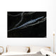Tozeuma Shrimp Clings to Wall Decal