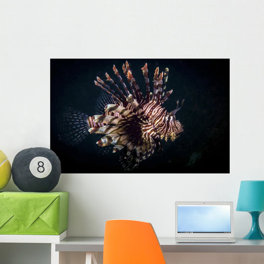 Lionfish Portrait Anilao Philippines Wall Decal